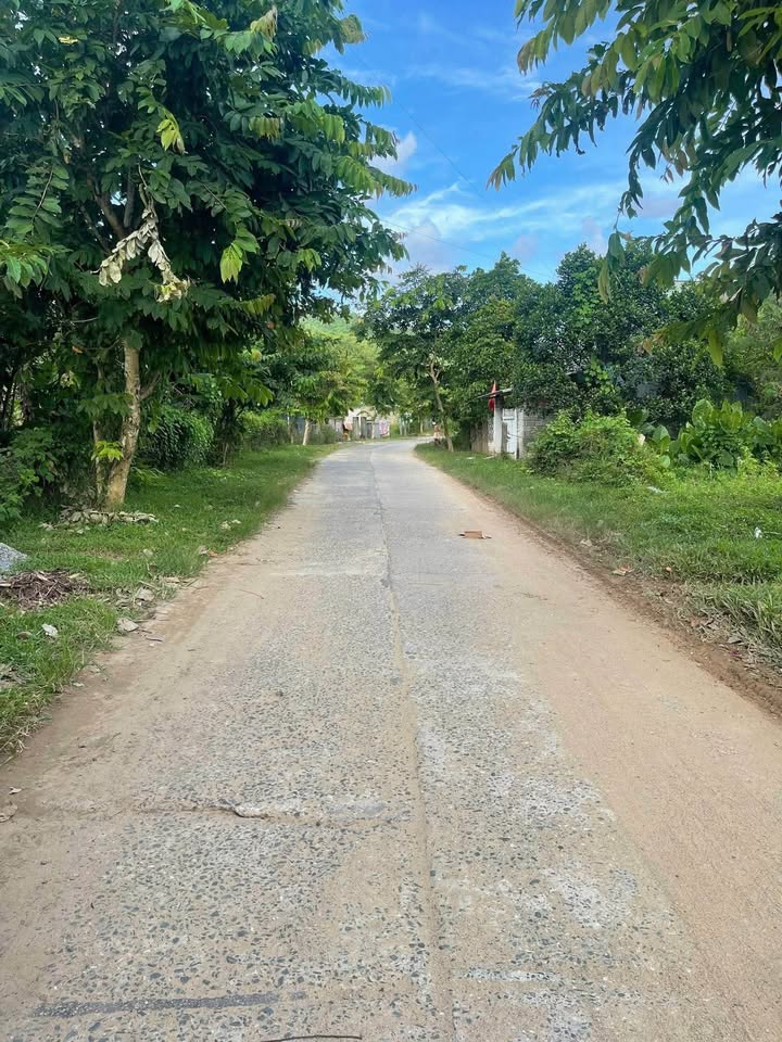 Bán lô đất vườn view cánh đồng rất đẹp tại thôn Nam Yên, Hoà Bắc, thành phố Đà Nẵng