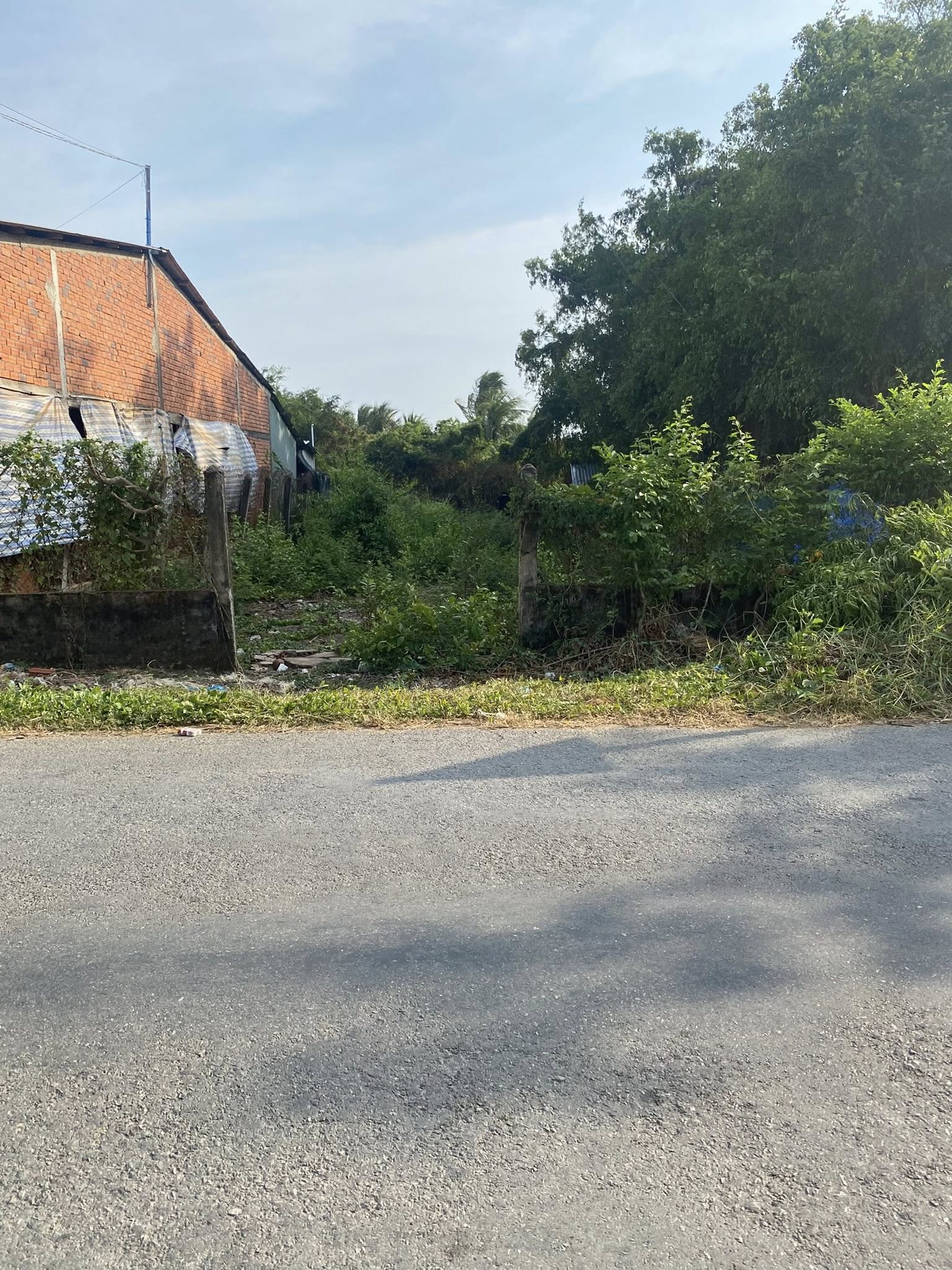 Vượng khí sinh tài, đất nền Giồng Giá đón tương lai