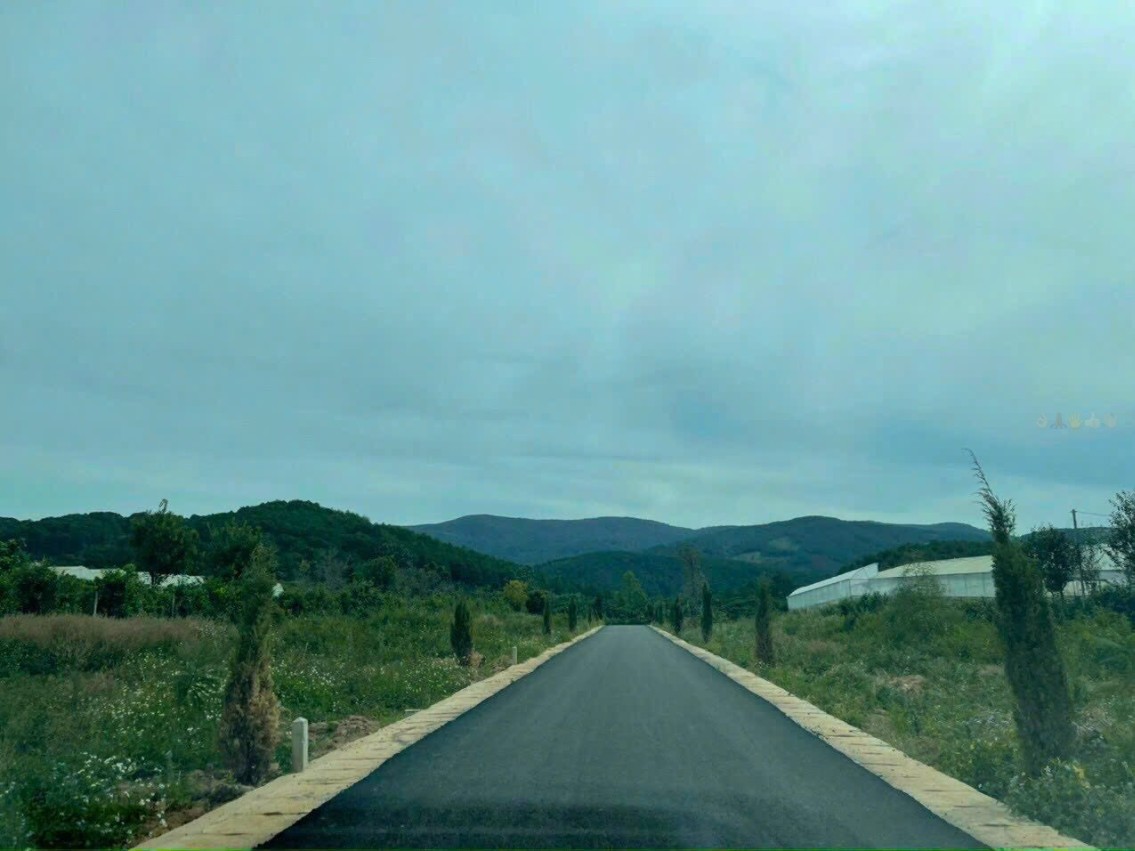 Bán đất diện tích 200m2 tại phường Cam Ly, Đà Lạt, đường nhựa rộng, gần Cafe Thúy Thuận