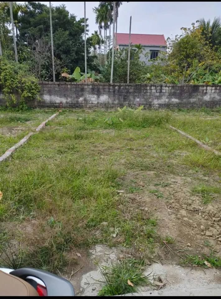 Đất vuông vắn gần khu công nghiệp Nam Cầu Kiền, Thủy Nguyên - Cơ hội an cư và đầu tư