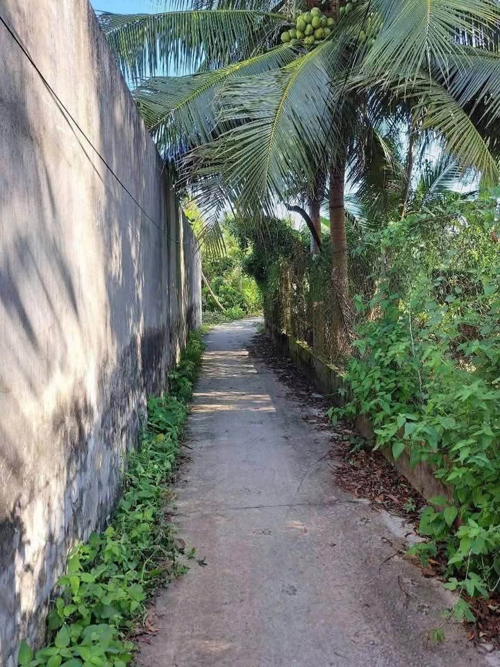 Đất nền An Hiệp, Châu Thành, Bến Tre cực phẩm đây ạ