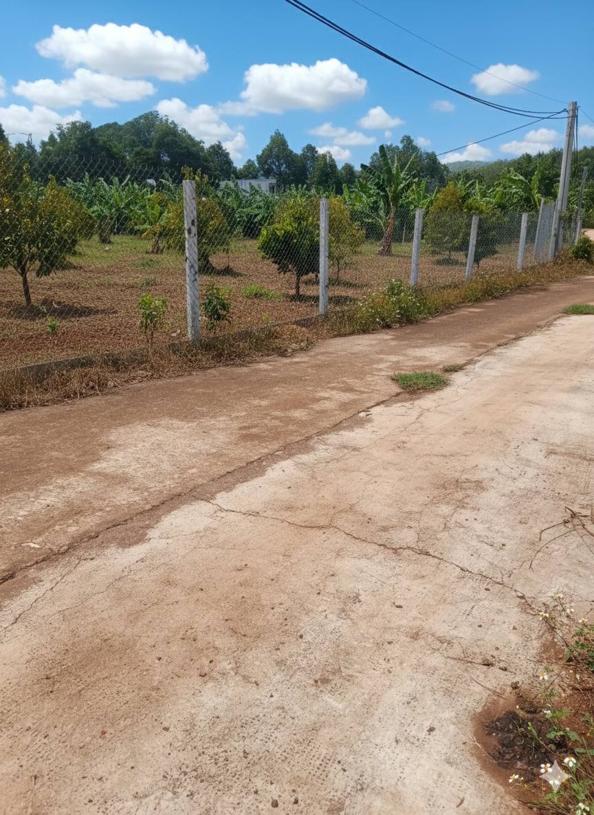 Đất Suối Tre, Bình Lộc 500m2 giá chỉ 690 triệu, hỗ trợ vay ngân hàng