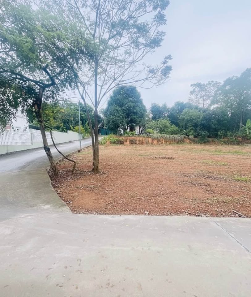 Đất góc 2 mặt tiền 6m, 114m2, gần trục chính Thanh Đình, view hồ, giá 2.1 tỷ