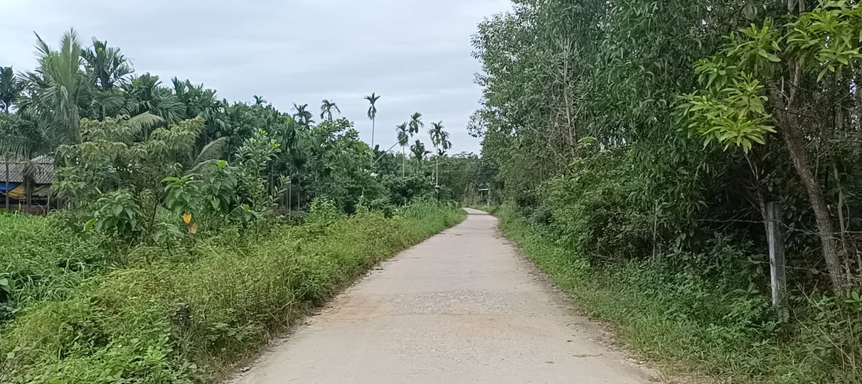 Siêu phẩm đất vườn Nghĩa Thắng đã sẵn sàng chào đón chủ nhân mới