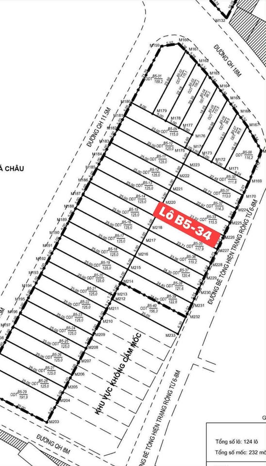 Đất đấu giá Lê Vụ 115m2 hướng Đông Nam, giá 4 tỷ - cơ hội vàng cho nhà đầu tư
