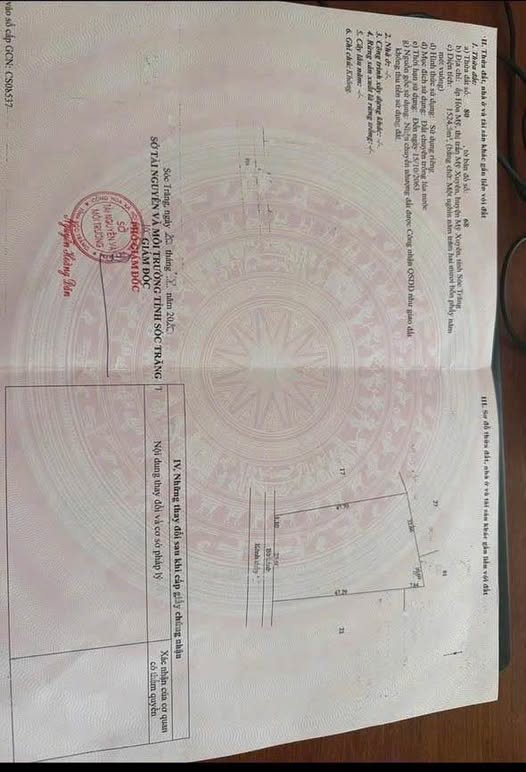 Cơ hội sở hữu ngay 1524m² đất ruộng tại khu vực Mỹ Xuyên