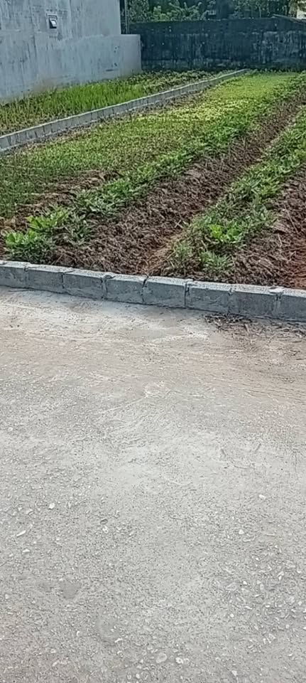 Đất vàng Nam Trung, Tiền Hải - Cơ hội duy nhất, giá sập sàn