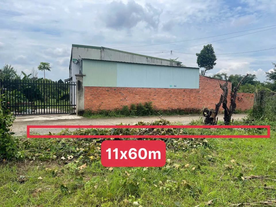 Đất Buôn Ma Thuột xây nhà, trồng rau, nuôi gà - Giá hời, thương lượng nhiệt tình