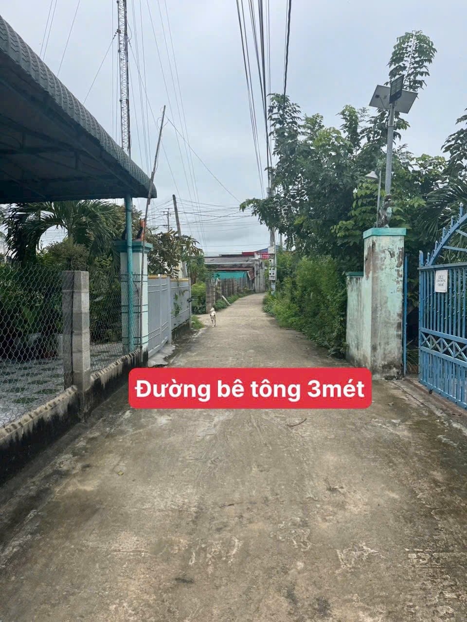 Bước vào thế giới tiện nghi và tiềm năng với lô đất góc tọa lạc ngay trung tâm chợ số 5 Hàm Liêm, Bình Thuận