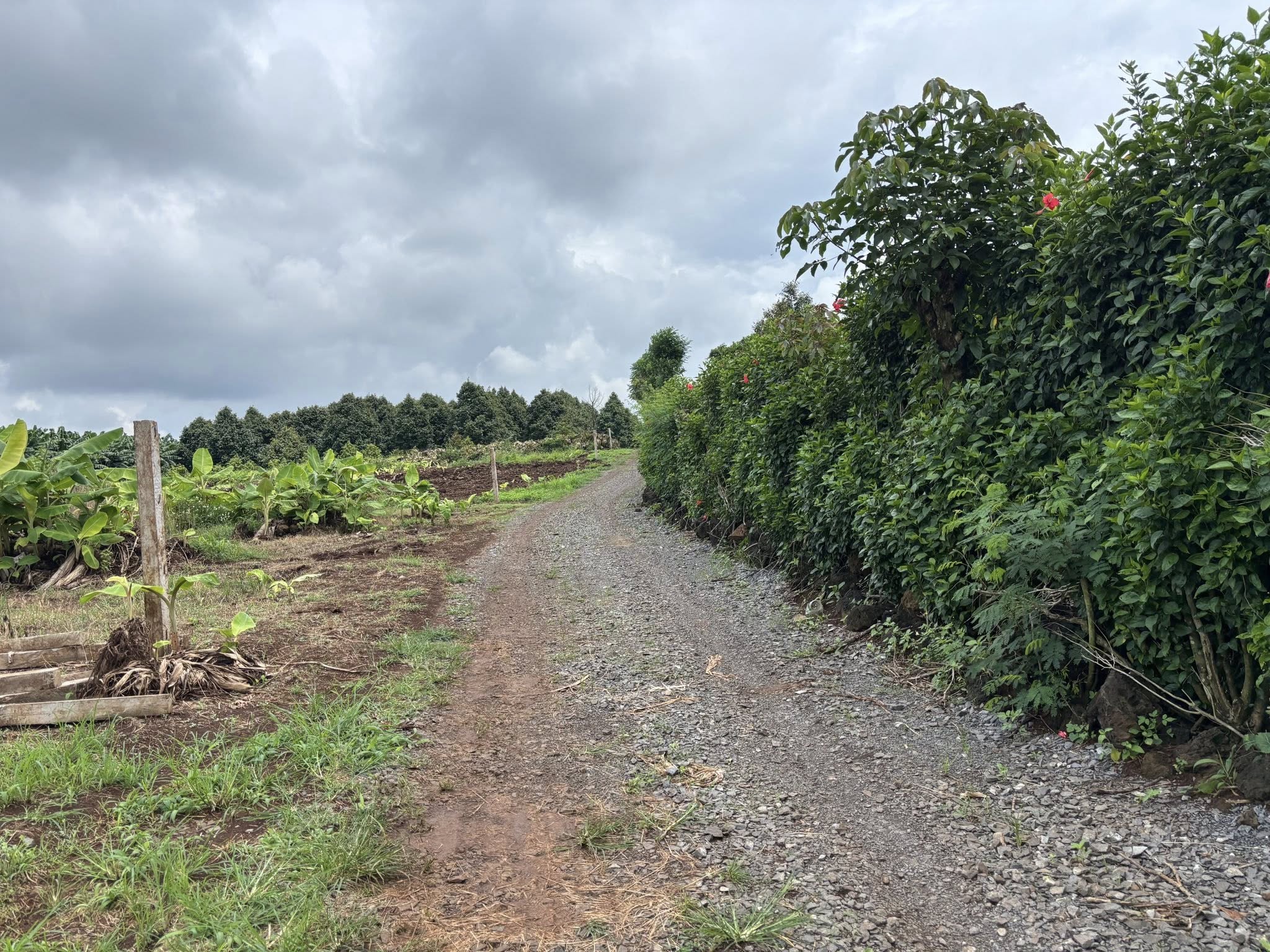 Siêu phẩm đất nền 1000m2 tại Phú Lợi, Định Quán, Đồng Nai đang chờ chủ nhân xứng tầm