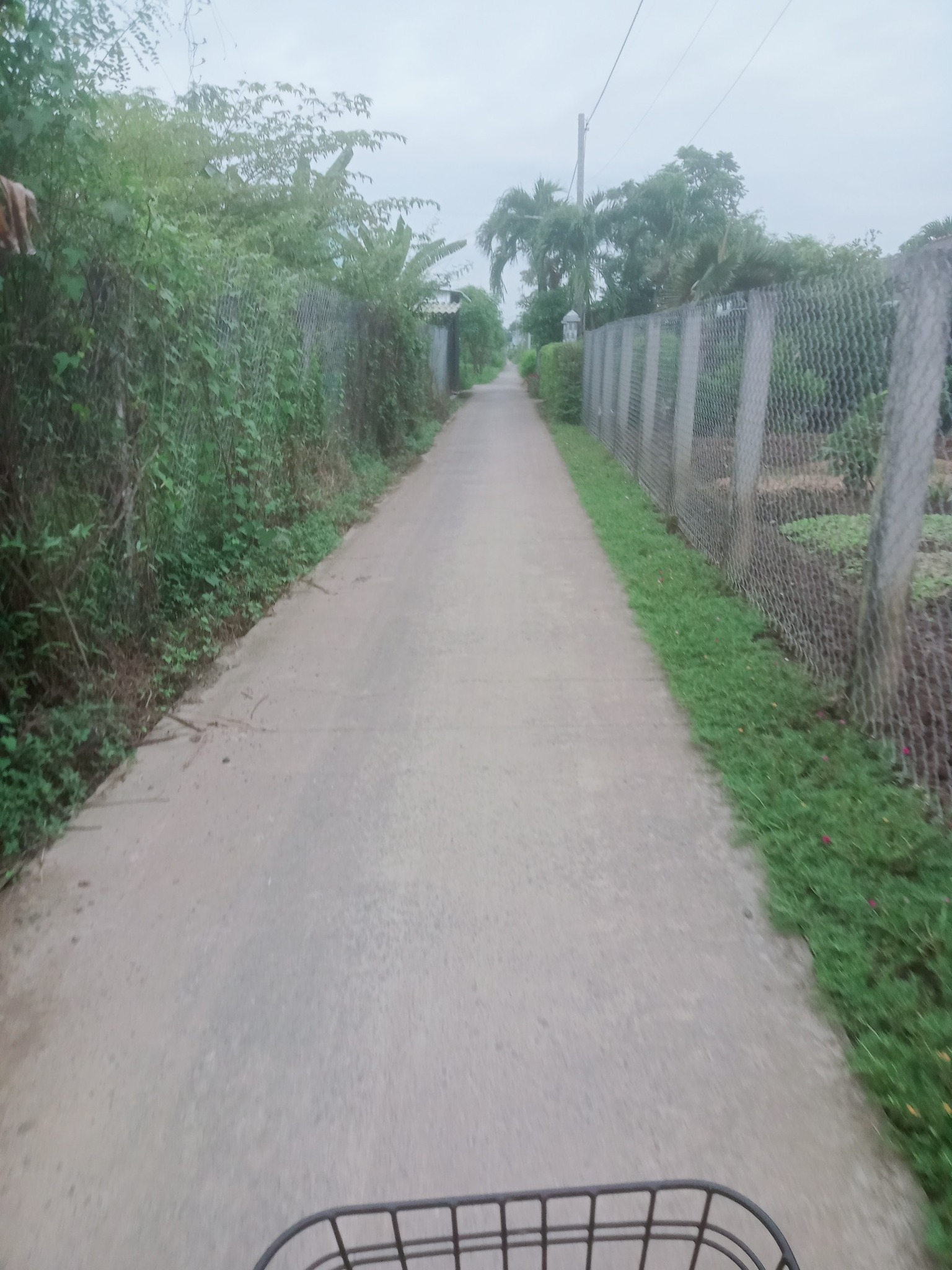 Bán nền đất vị trí đẹp tại Tân Hòa, Gò Công Đông, Tiền Giang giá tốt