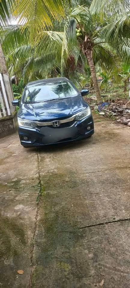 Biệt thự sân vườn 8,5m x 42m, 1,25 tỷ, Bến Tre, cơ hội vàng sở hữu chốn an cư lý tưởng