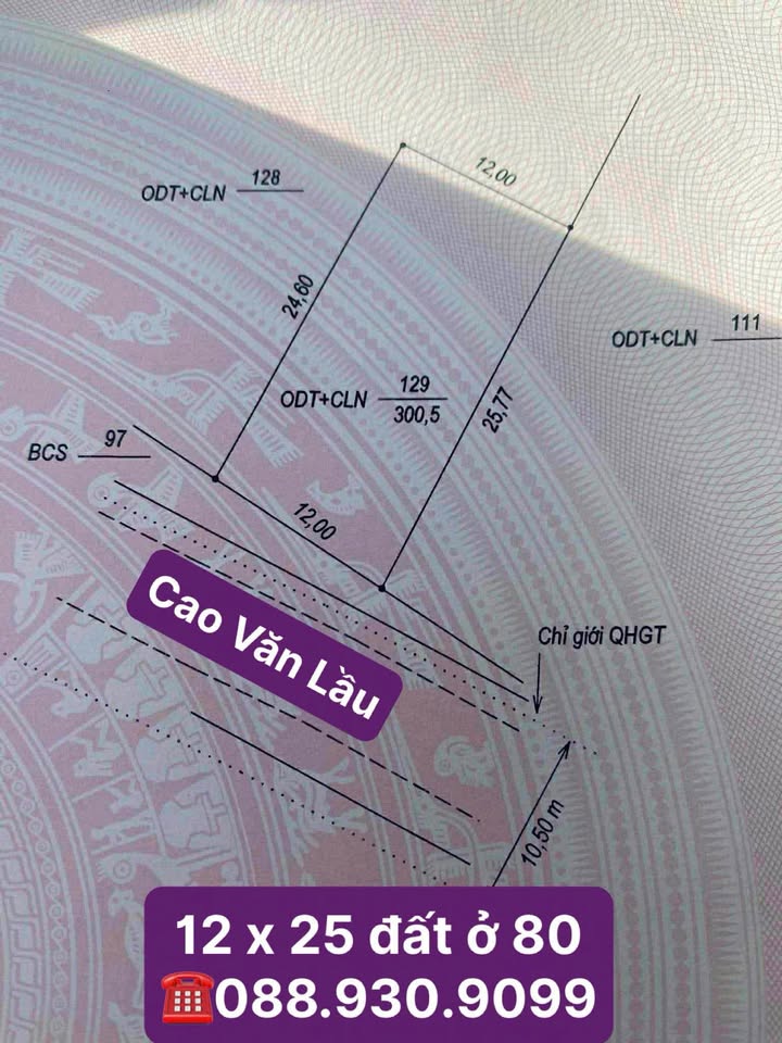 Đất mặt tiền Cao Văn Lầu, vị trí vàng, đầu tư phát tài