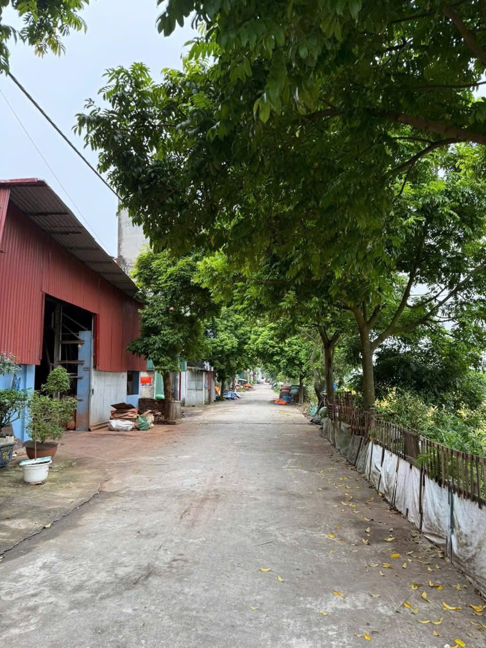 Đất vàng Tam Sơn 60m² 2 mặt thoáng, ô tô vào tận nơi, giá chỉ 1.x tỷ