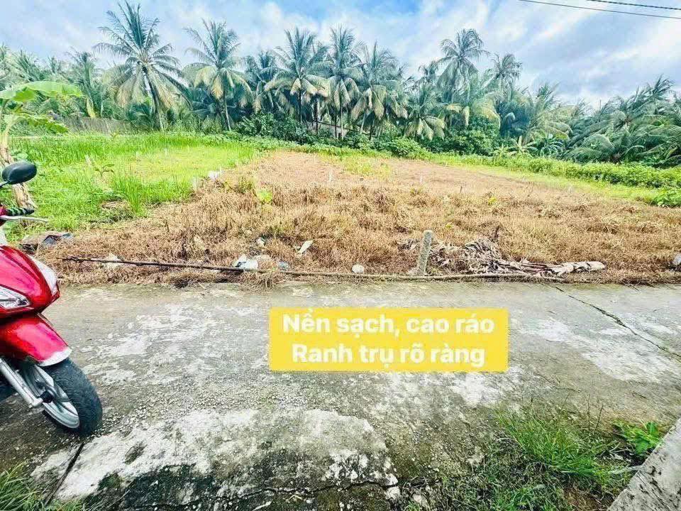 Nền thổ cư 100% tại Bình Tân, Vĩnh Long, sổ hồng sẵn sàng