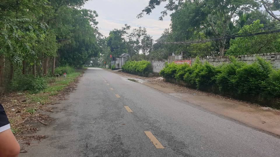 Bán đất 150m2 Hoàng Hoa, Tam Dương, Vĩnh Phúc, vị trí kinh doanh đắc địa