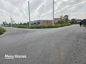 Bán đất đấu giá Giãn Dân Đào Dương, Ân Thi, Hưng Yên, diện tích đa dạng