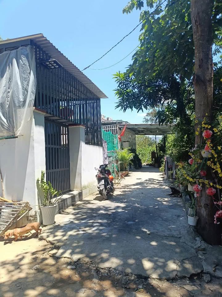 Cần bán nhanh căn nhà xây kiên cố để ở, nay cần tiền bán gấp với giá gốc