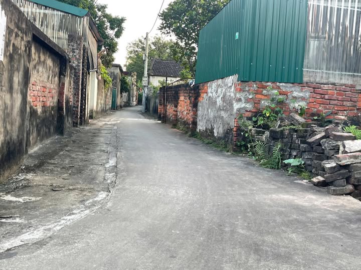 Bán đất 50m2 mặt tiền 5m tại Đào Xá, Chương Dương, Thường Tín, Hà Nội