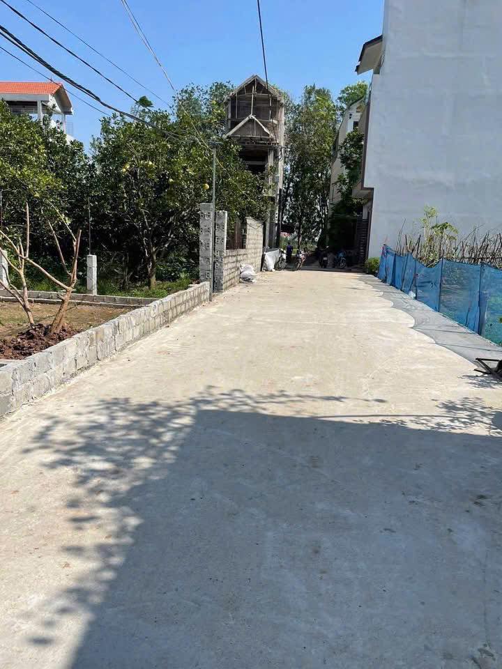 Đất đấu giá rẻ nhất Thường Tín, mảnh đất vuông vắn 95,2m2, mặt tiền 6,6m, đường 5m hai ô tô tránh nhau