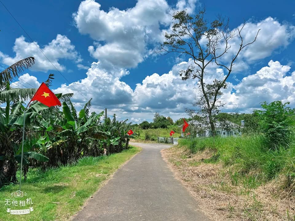 Đất Lộc Đức, 90m2 mặt đường nhựa, giá hời 470 triệu, bao sổ