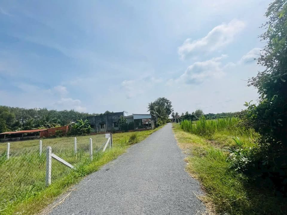 Bán đất mặt tiền đường nhựa 5m, Hiệp Thạnh, Gò Dầu, Tây Ninh