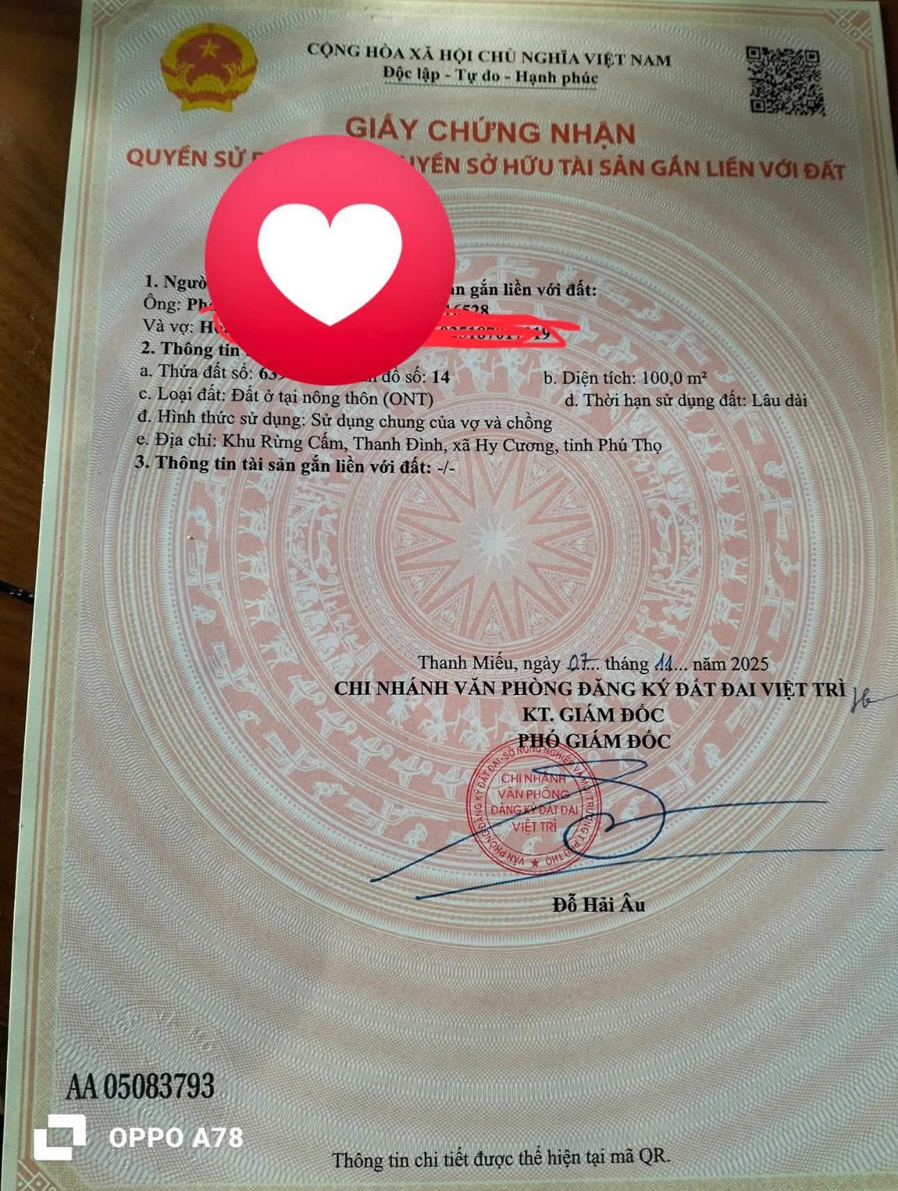 Đất mặt tiền kinh doanh sầm uất tại Thanh Đình, Việt Trì, cơ hội đầu tư hấp dẫn