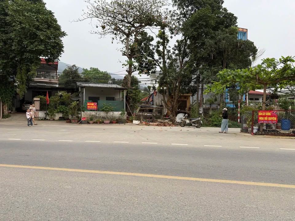 Đất vàng kinh doanh quần thể nghỉ dưỡng, nhà hàng, khách sạn, cafe - Vị trí đắc địa giáp sân golf Tam Đảo