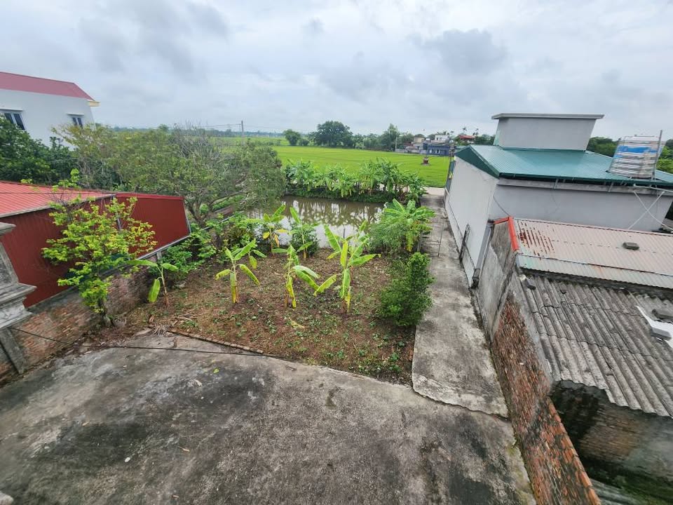 Siêu phẩm đất nền 1000m2 tại Trường Xuân, Duy Nhất, Vũ Thư, Thái Bình đang chờ chủ nhân