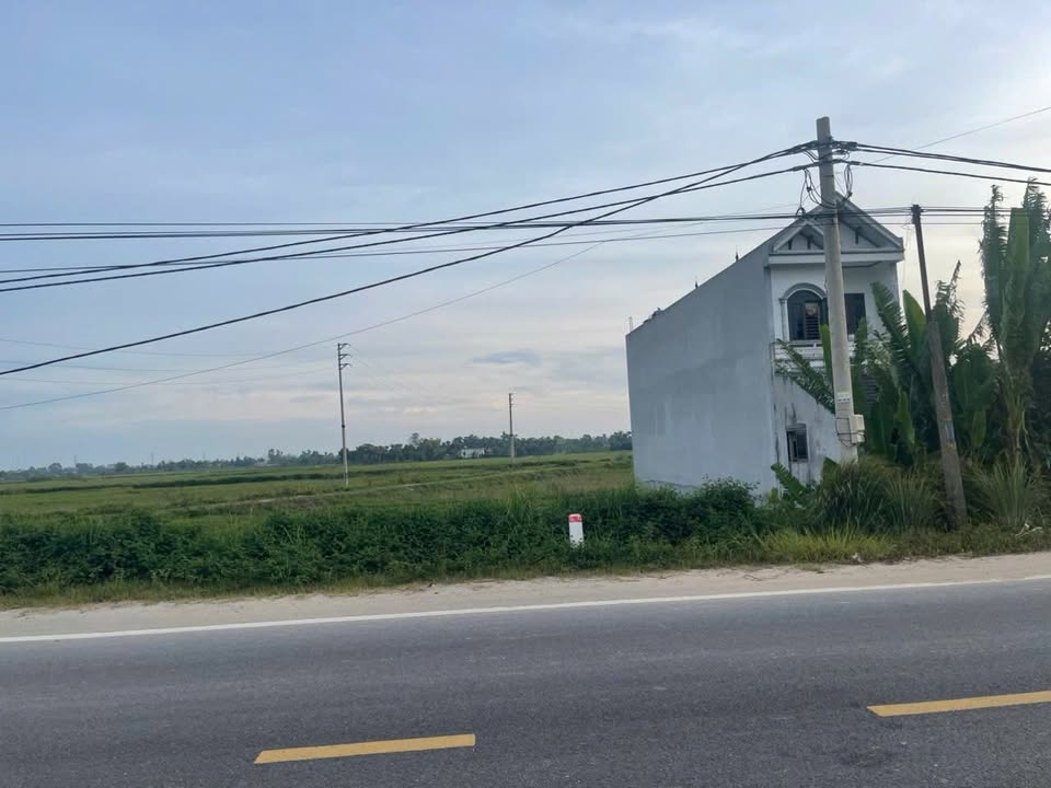 Đất vàng Đường Thanh Niên 125m² mặt tiền 5m, giá hời như mơ