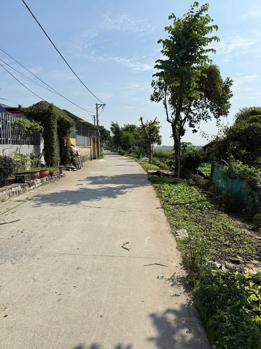 Bán lô đất đẹp tại Bình Mỹ, Bình Lục, Hà Nam, cách trung tâm khoảng 3km