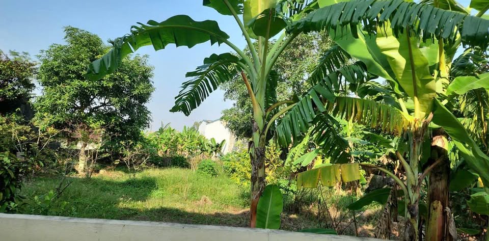 Đất Quảng Yên 904m², mặt tiền 14.6m, giá 2 tỷ, tiềm năng x2