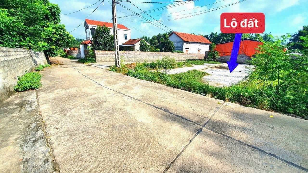 Đất thổ cư Hoàng Hoa, Tam Dương, đường thông thoáng, giá chỉ hơn 600 triệu