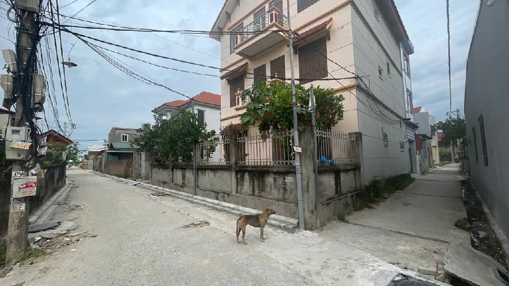 Nhà 100m2 đường thông ô tô tránh, Mê Linh, cơ hội đầu tư xịn sò