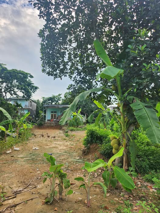 Bán đất nền với diện tích 5m x 25m, tổng 50m2 thổ cư tại tổ dân phố Kim Phú 1, phường Minh Xuân, Tuyên Quang