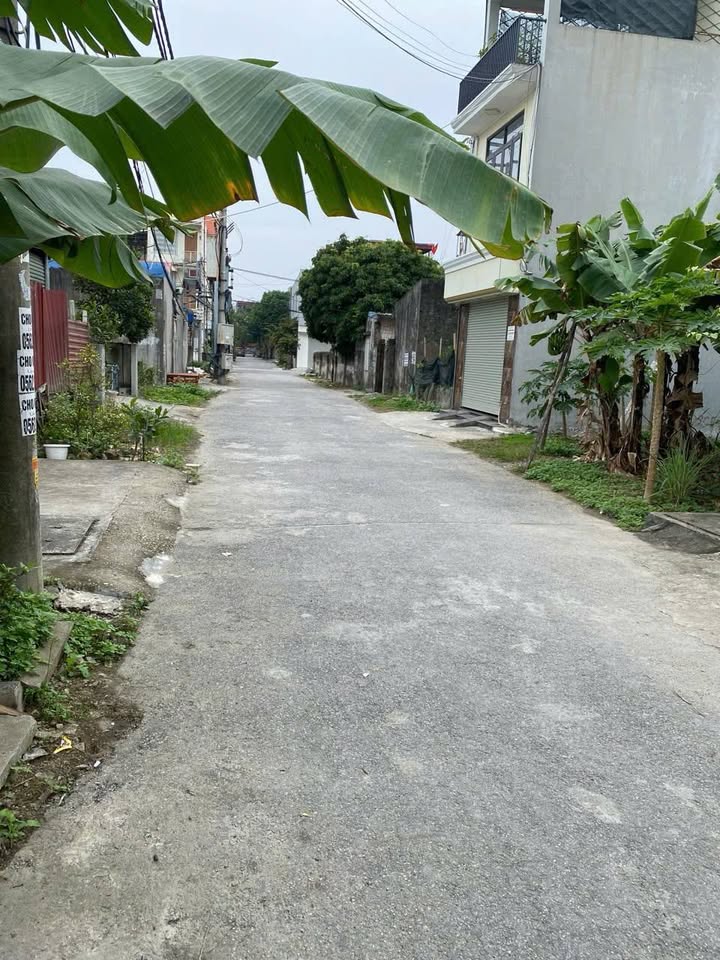 Đất vàng Dương Kinh sát vành đai 2, sẵn sàng đón đầu hạ tầng