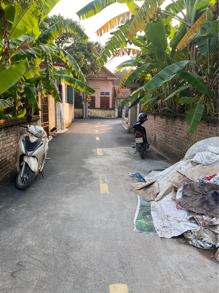 Đất Yên Nam, Hà Nam 144m2, mặt tiền 5m, gần KCN, giá xinh