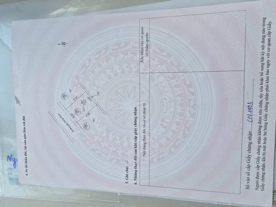 Đất đẹp Bắc Lý, Đồng Hới - Đầu tư sinh lời ngay