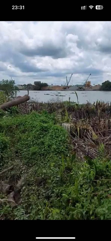 Bán đất vườn 1000m² mặt tiền đường xe hơi, view sông Vàm Cỏ Tây tại Tân Trụ, Long An