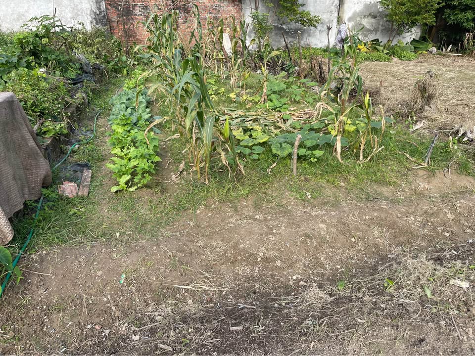 Bán đất Sóc Sơn, Hà Nội - 87m2, mặt tiền 7.45m, gần dự án trường đua ngựa