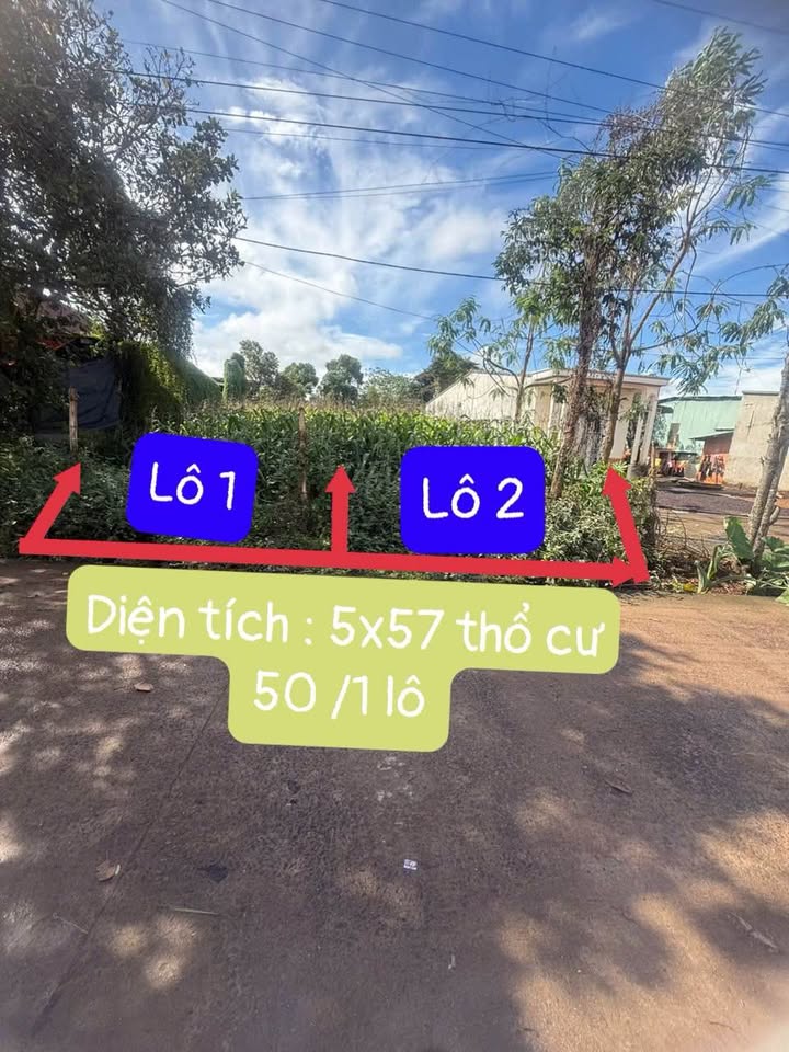 Siêu phẩm đất vàng 1.49 tỷ, hẻm cấp 1 Nguyễn Thị Định, khu biệt thự nhà giàu, 2 ô tô tránh nhau