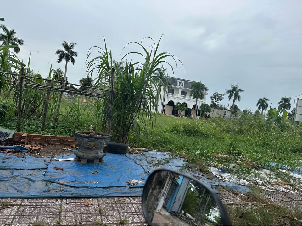 Đất nền Kim Oanh Bến Cát giá sập sàn, chốt đơn ngay