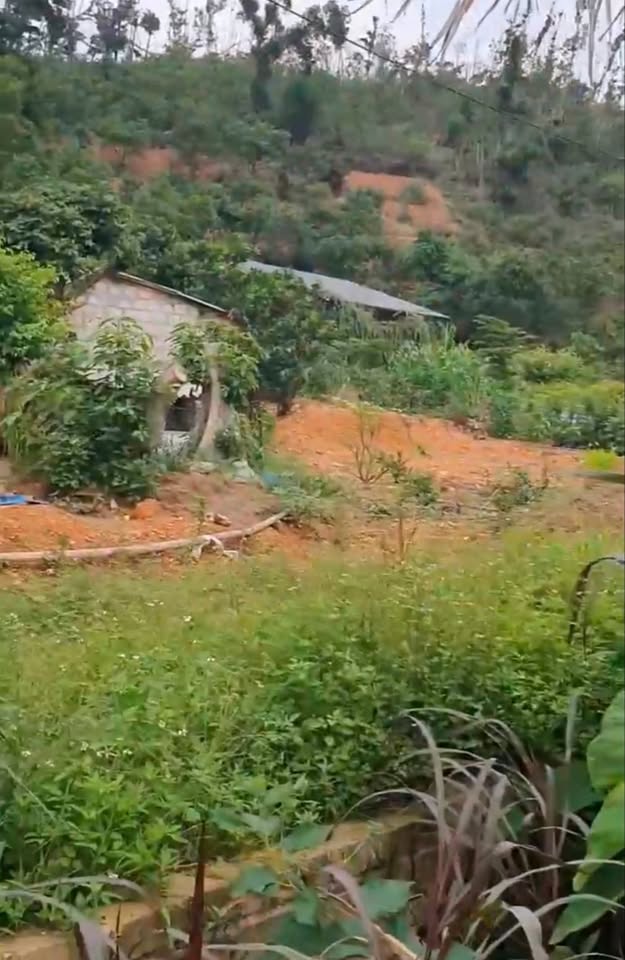 Đất Chí Linh gần 1000m2, giá hơn 1 tỷ, đầu tư siêu lợi nhuận