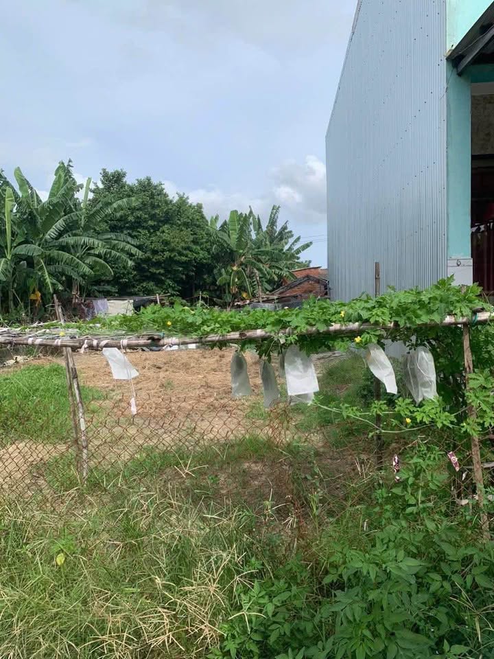 Đất vàng Điện Bàn 900 triệu, an cư hay đầu tư đều tuyệt