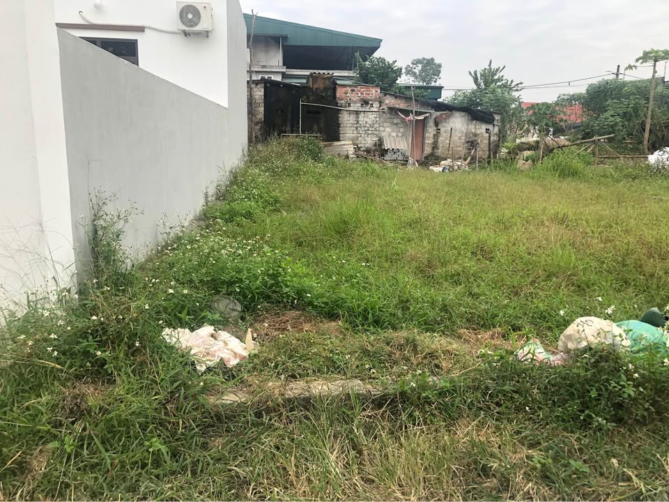 Đất vàng Thanh Liêm, mặt tiền 5m, hướng Nam, giá chỉ hơn 900 triệu