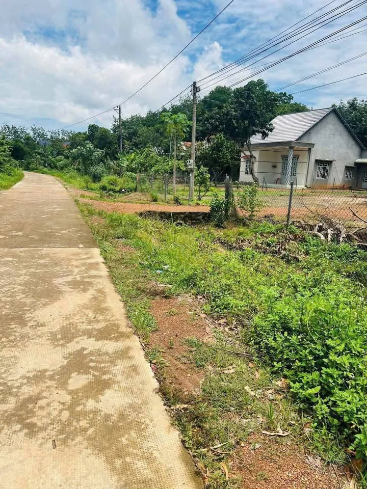 Bán đất 5m x 64m tại Đồng Phú, Bình Phước