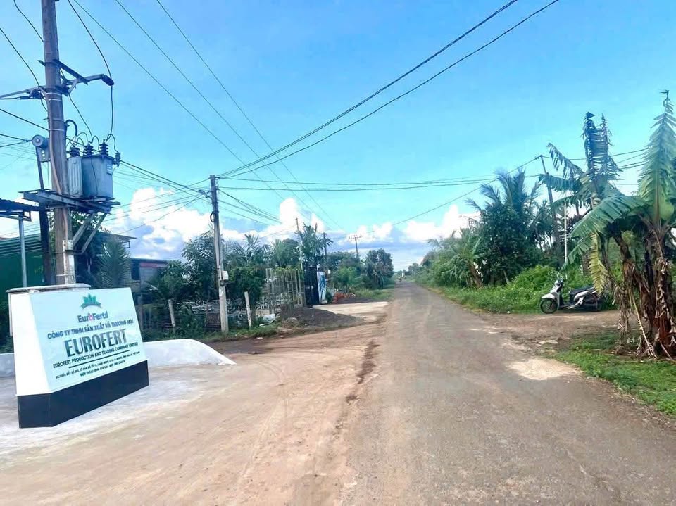 Cơ hội sở hữu lô đất vuông vắn tại hẻm 196 Nguyễn Kiệm, phường 3, Gò Vấp