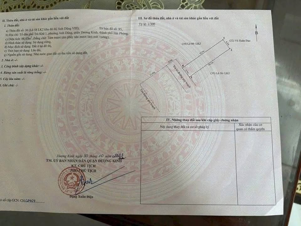 An Dũng 8 Hưng Đạo - Đất vàng đầu tư, vị trí đắc địa