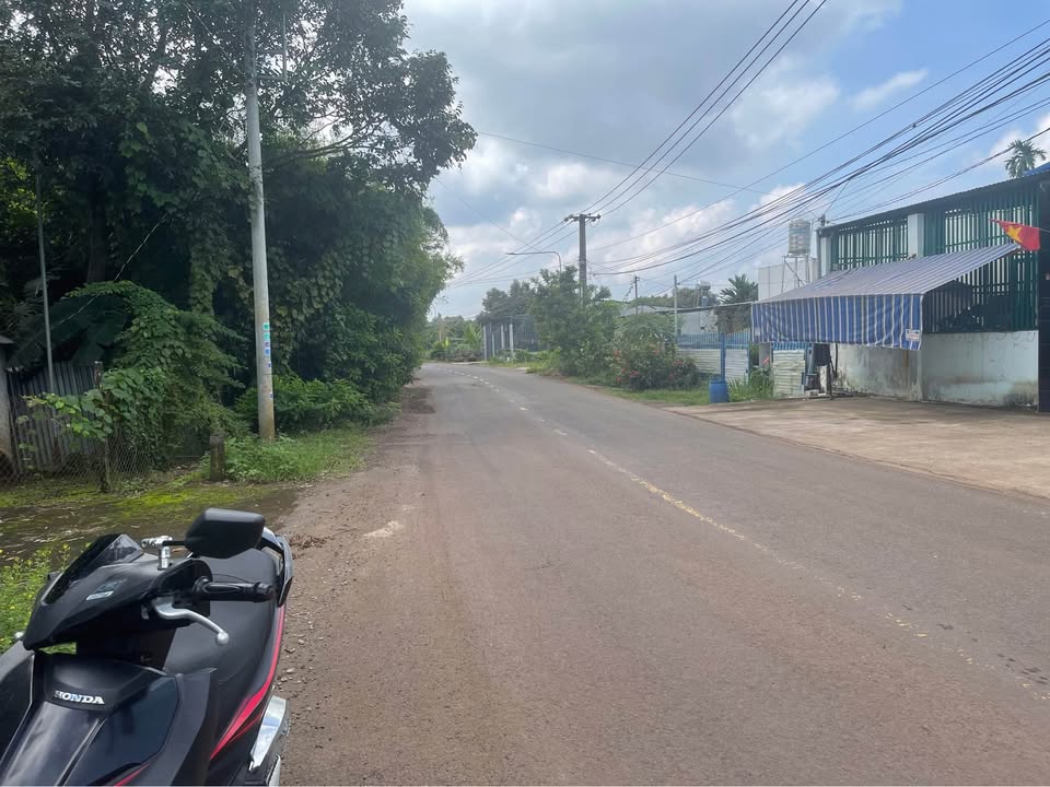 Đất vàng Long Khánh mặt tiền nhựa, sổ đỏ sẵn sàng, giá hời