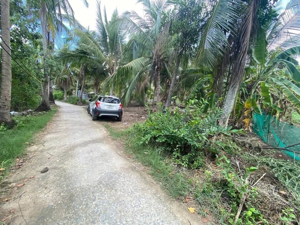 Đất nền Thạnh Trị, Vĩnh Long, mặt tiền đường, ô tô thoải mái, giá chỉ 300 triệu